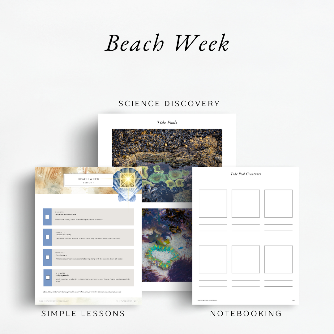The Simplified Summer: Tasty Treats + Summer Socials. An eclectic summer style unit for homeschoolers.