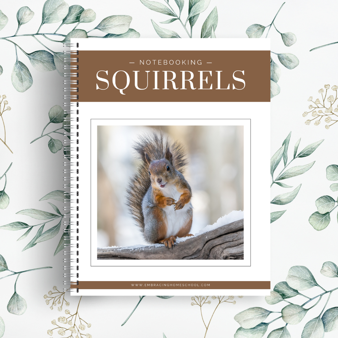 Squirrels Notebooking Pages