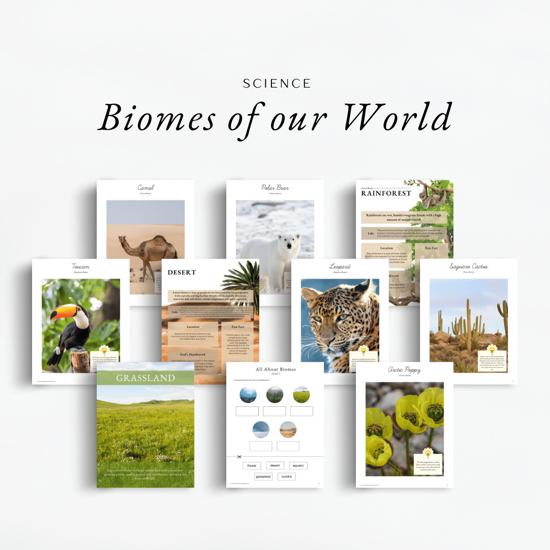 The Simplified Feast Volume 3 science will focus on the biomes of our world.