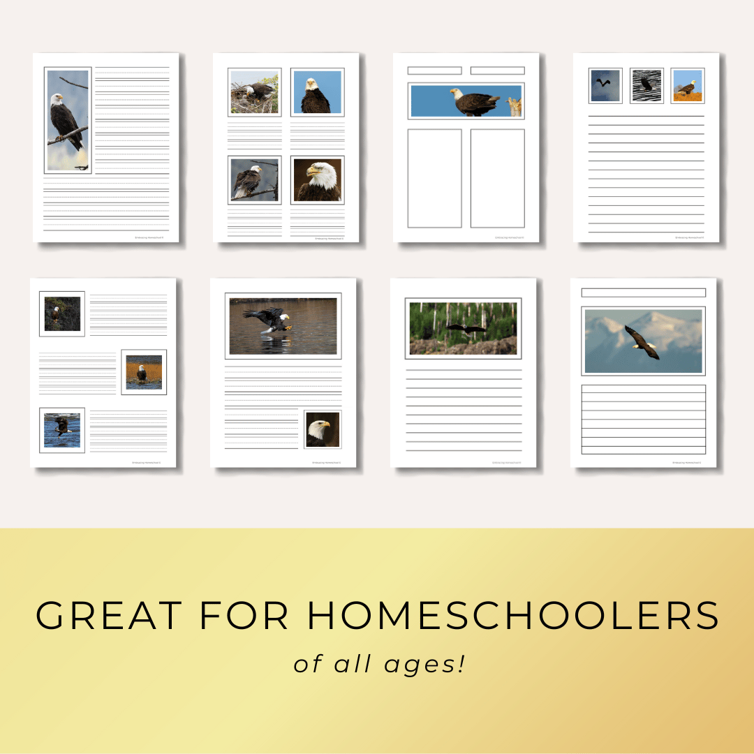 Bald Eagles notebooking pages printables for homeschoolers by Embracing Homeschool Shop