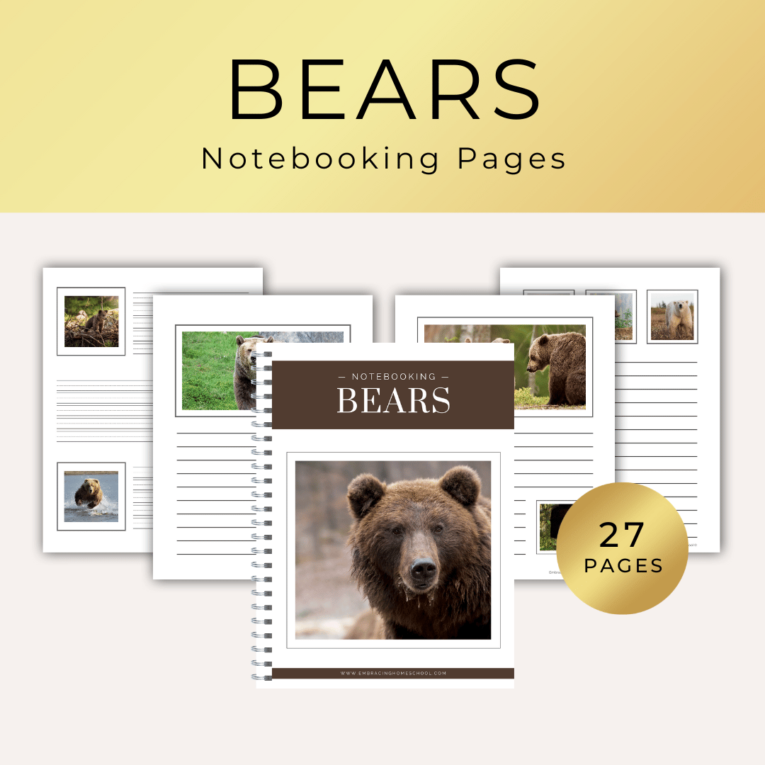 Bears notebooking pages printables for homeschoolers by Embracing Homeschool Shop