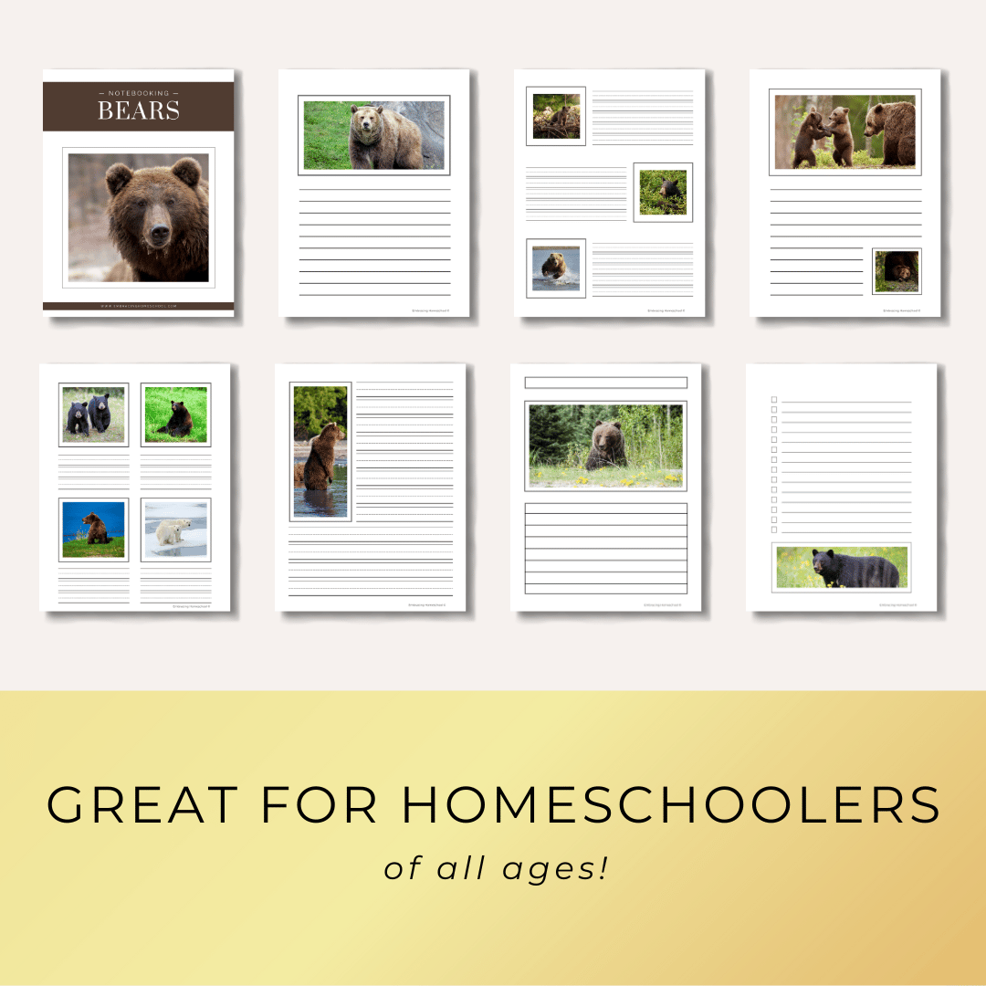 Bears notebooking pages printables for homeschoolers by Embracing Homeschool Shop