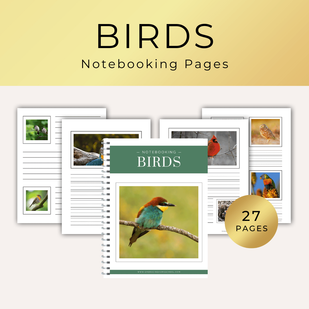 Birds notebooking pages printables for homeschoolers from Embracing Homeschool Shop