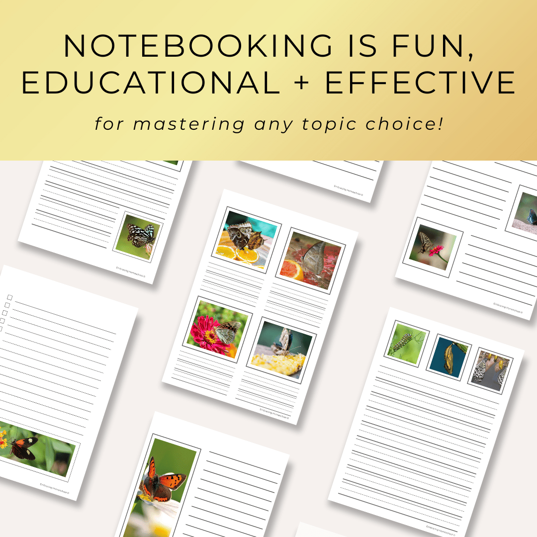 Butterflies notebooking pages printables for homeschoolers by Embracing Homeschool Shop