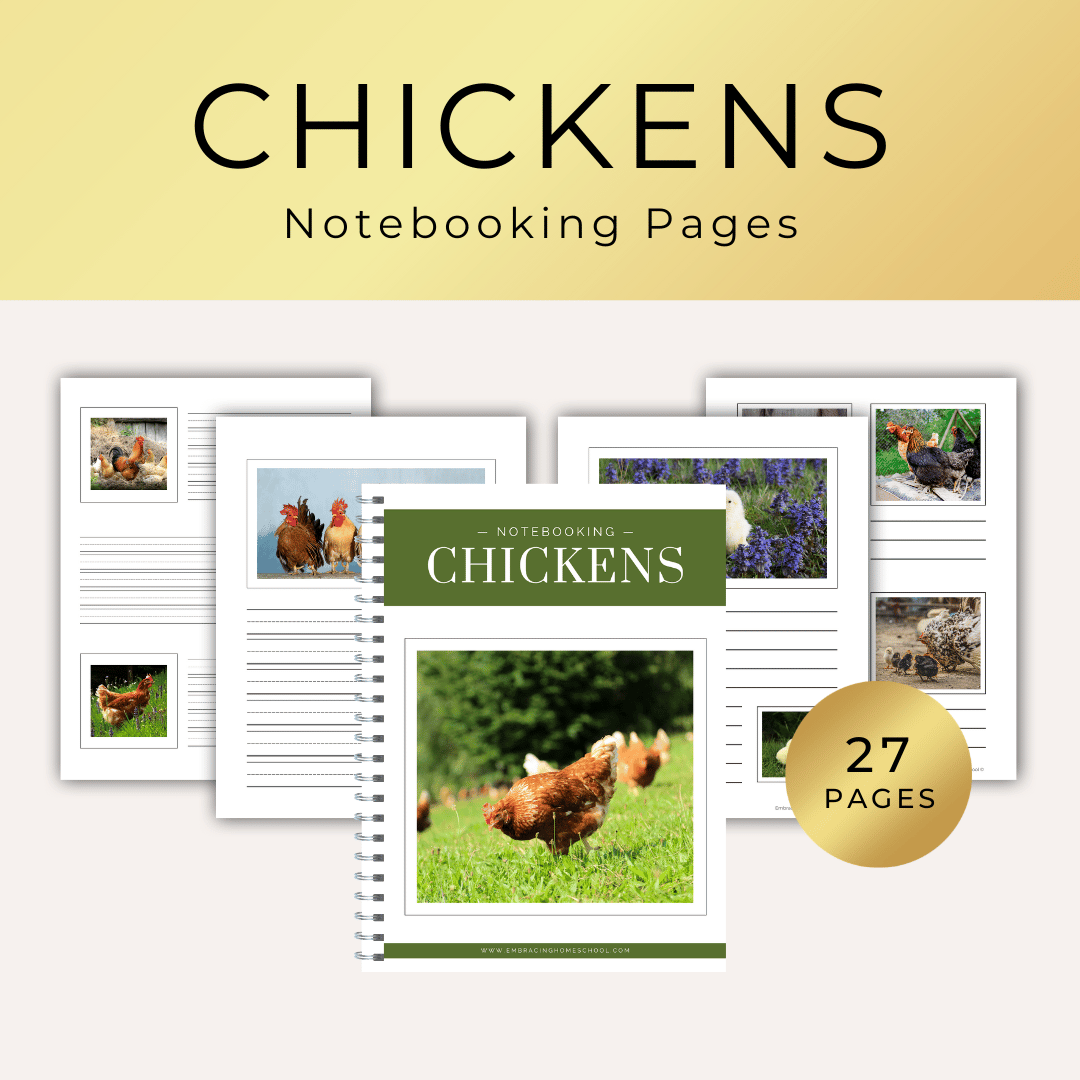 Chickens notebooking pages printables for homeschoolers by Embracing Homeschool Shop