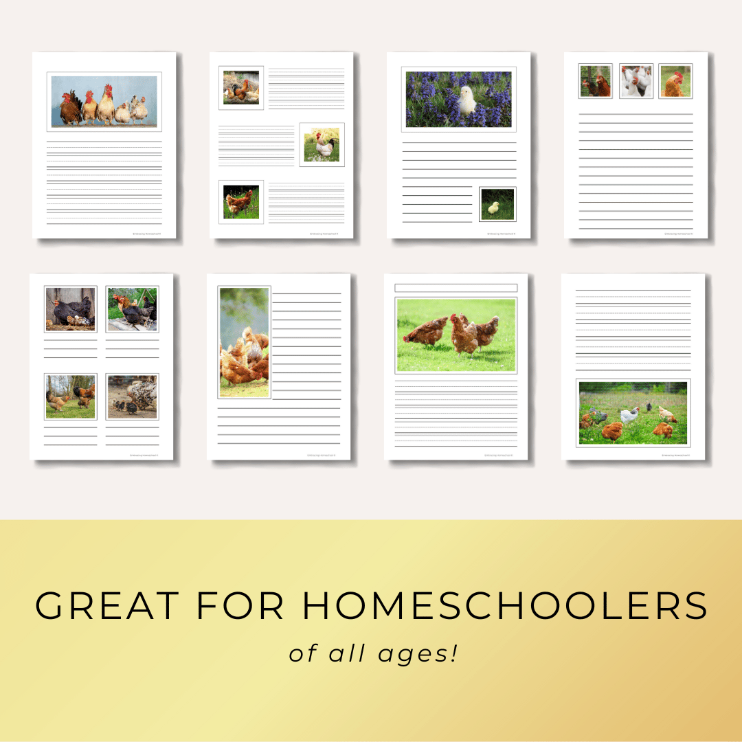 Chickens notebooking pages printables for homeschoolers by Embracing Homeschool Shop
