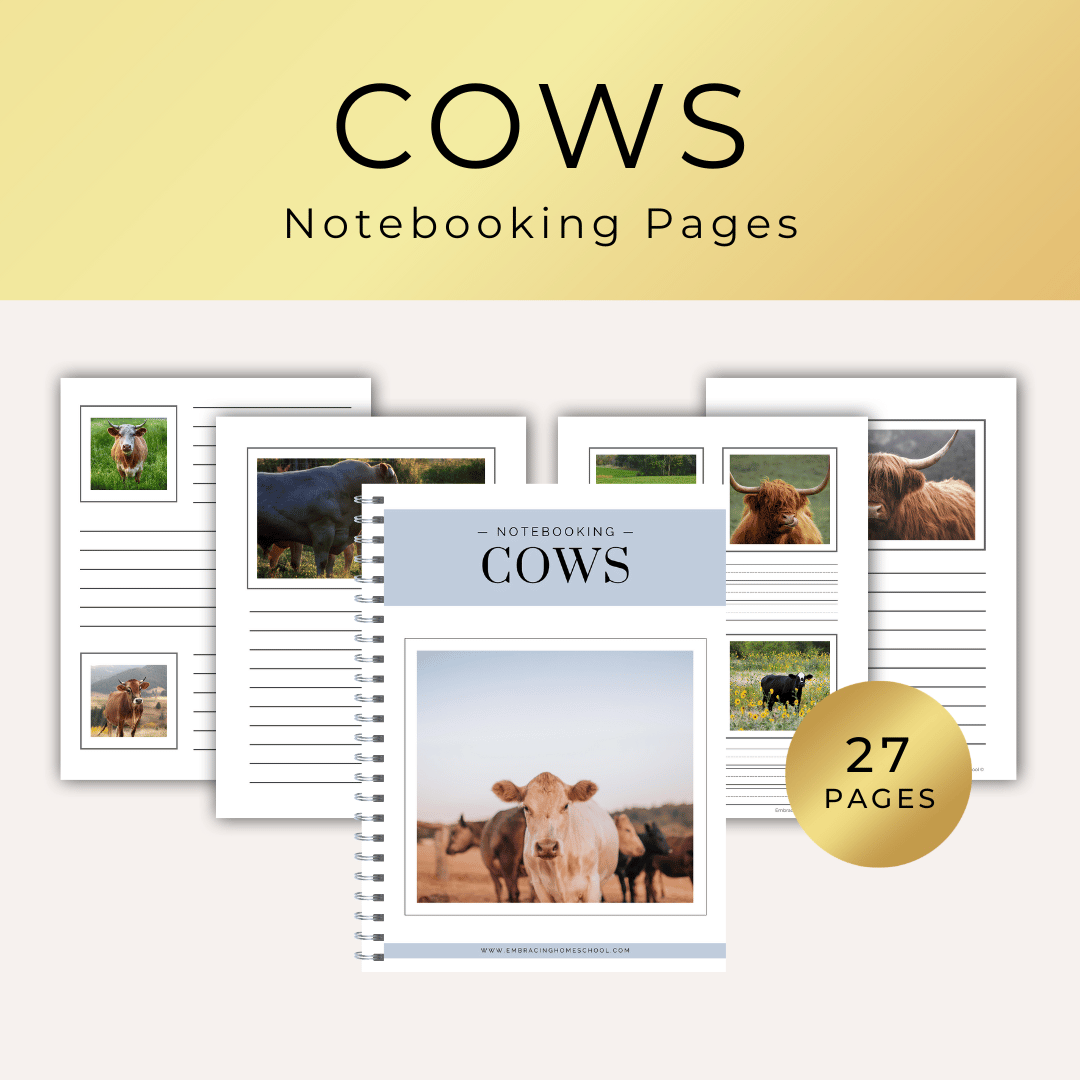 Cow notebooking Pages printables for homeschoolers by Embracing Homeschool Shop