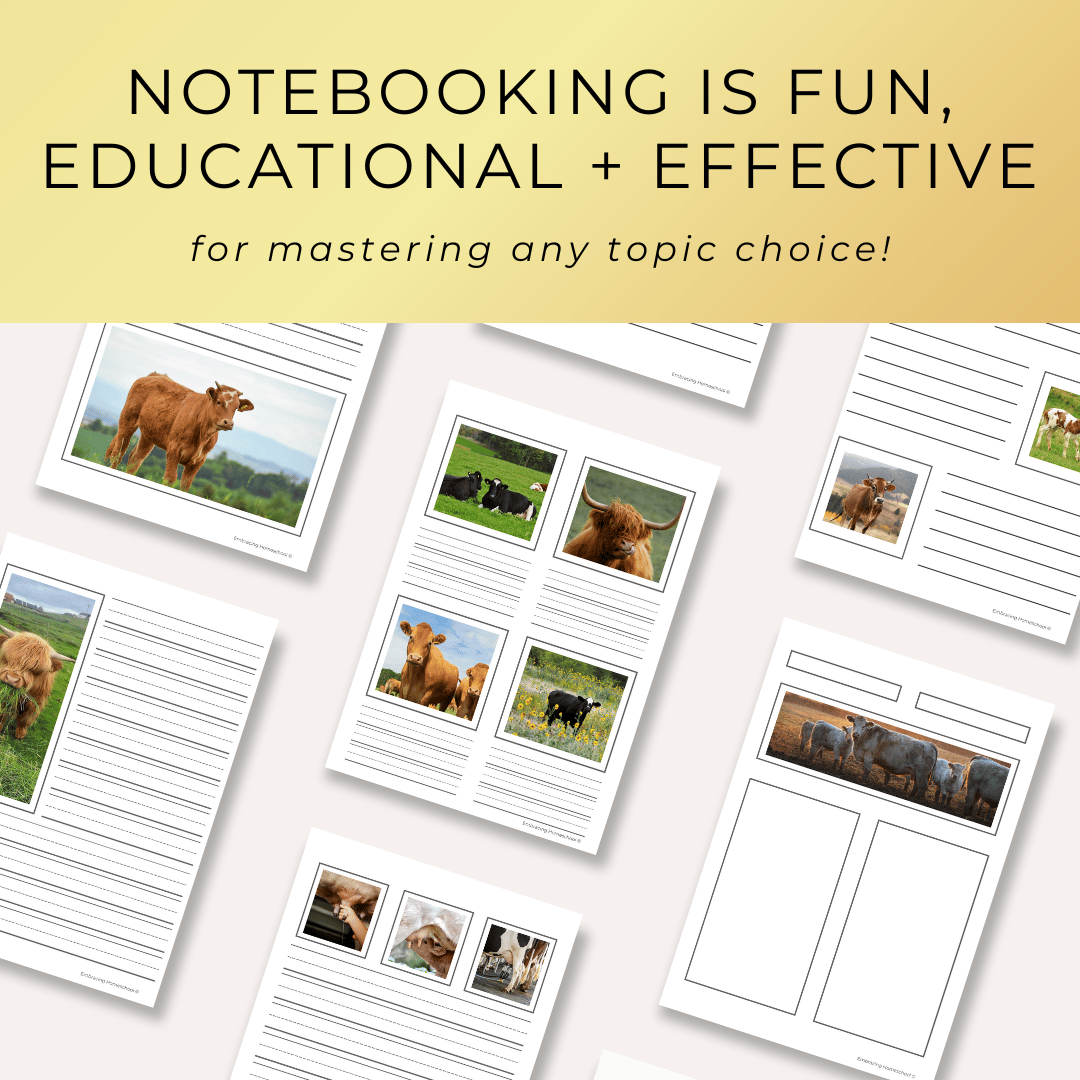 Cow notebooking Pages printables for homeschoolers by Embracing Homeschool Shop