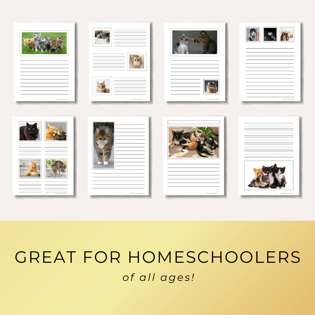 Domestic Cats Notebooking Pages Printables for homeschoolers by Embracing Homeschool Shop