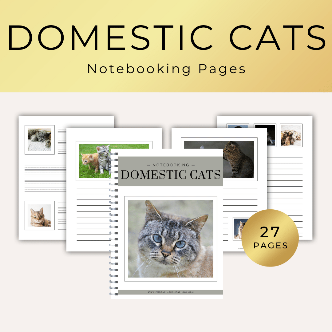 Domestic Cats Notebooking Pages Printables for homeschoolers by Embracing Homeschool Shop