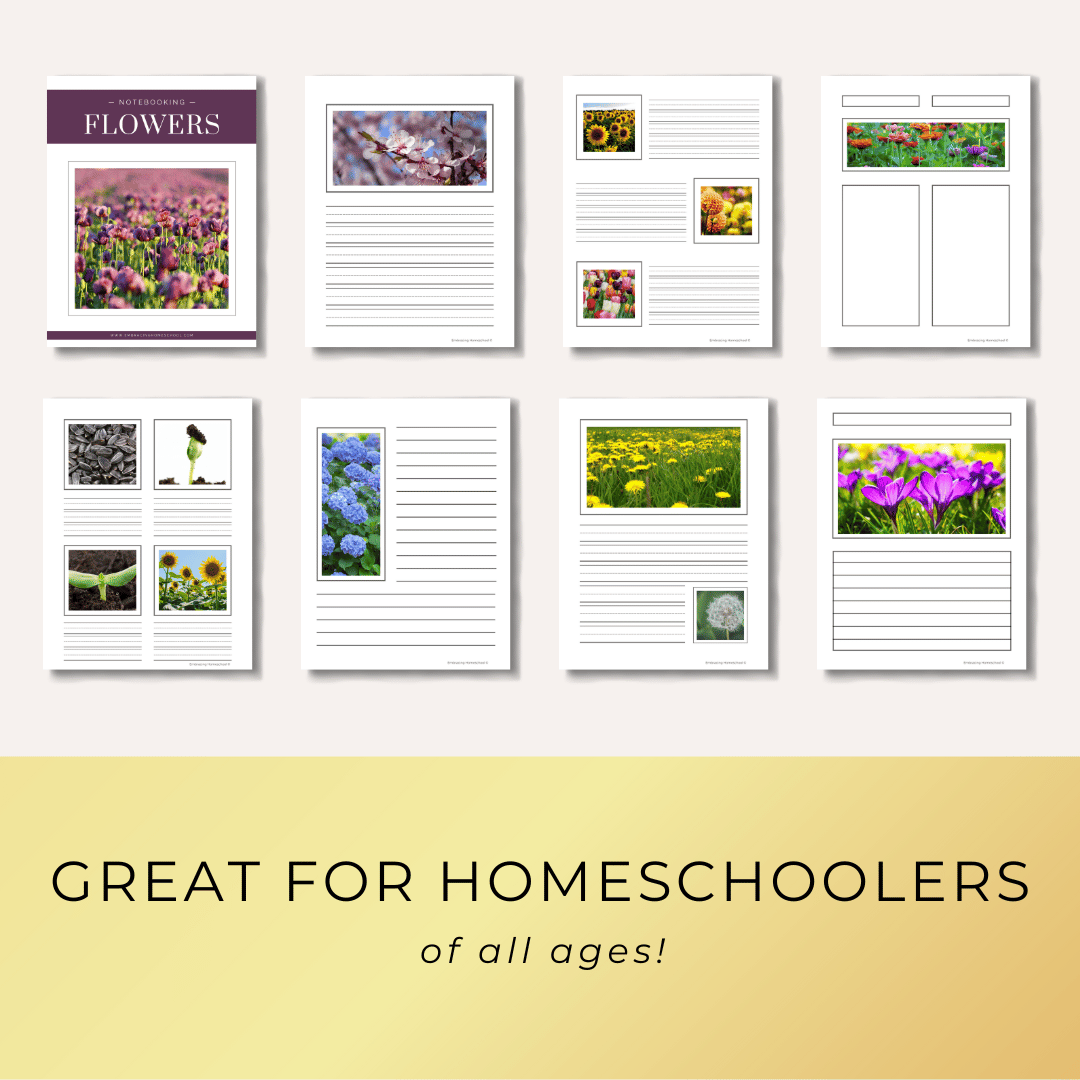 Flowers notebooking pages printables for homeschoolers from Embracing Homeschool Shop