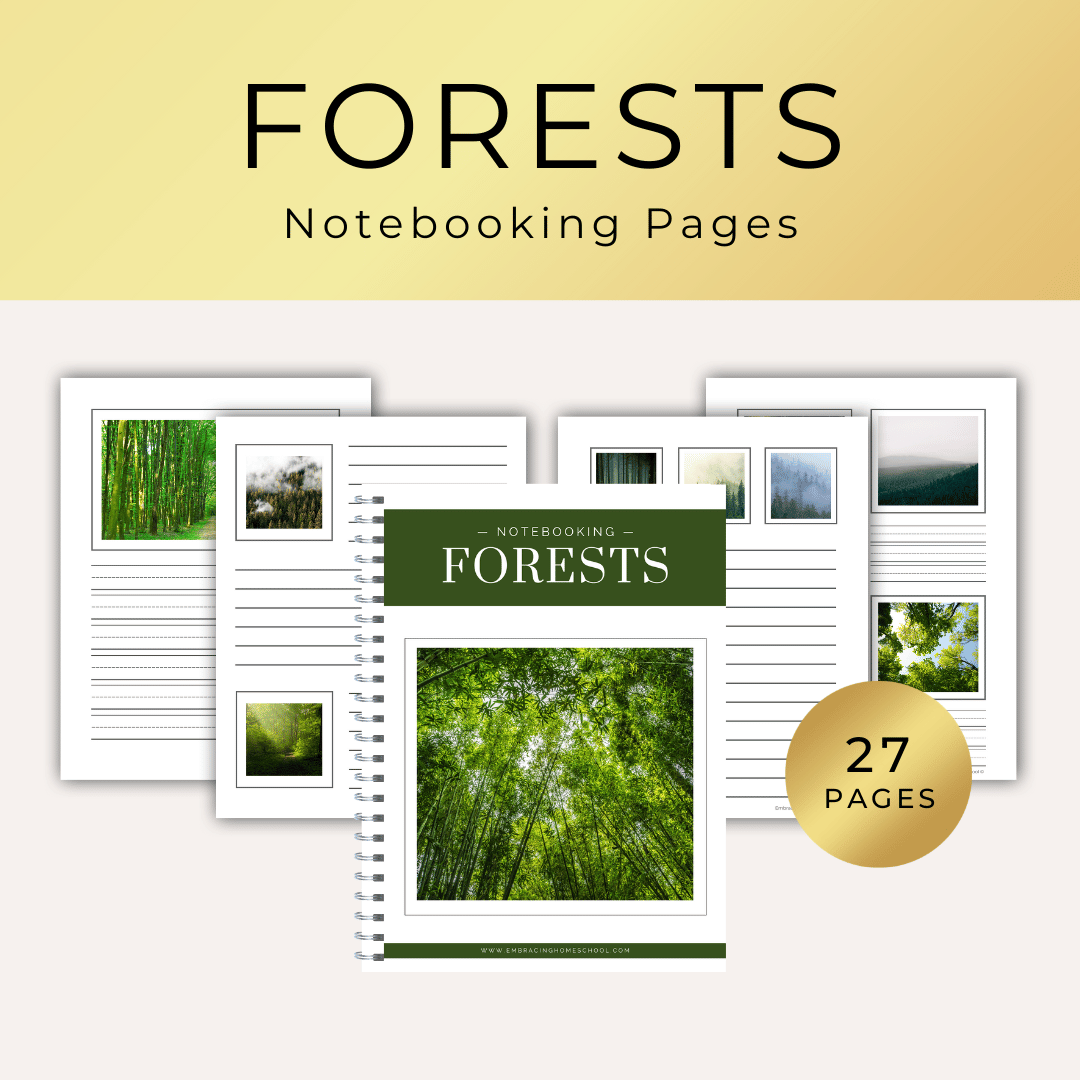 Forest Notebooking Pages printable from Embracing Homeschool Shop