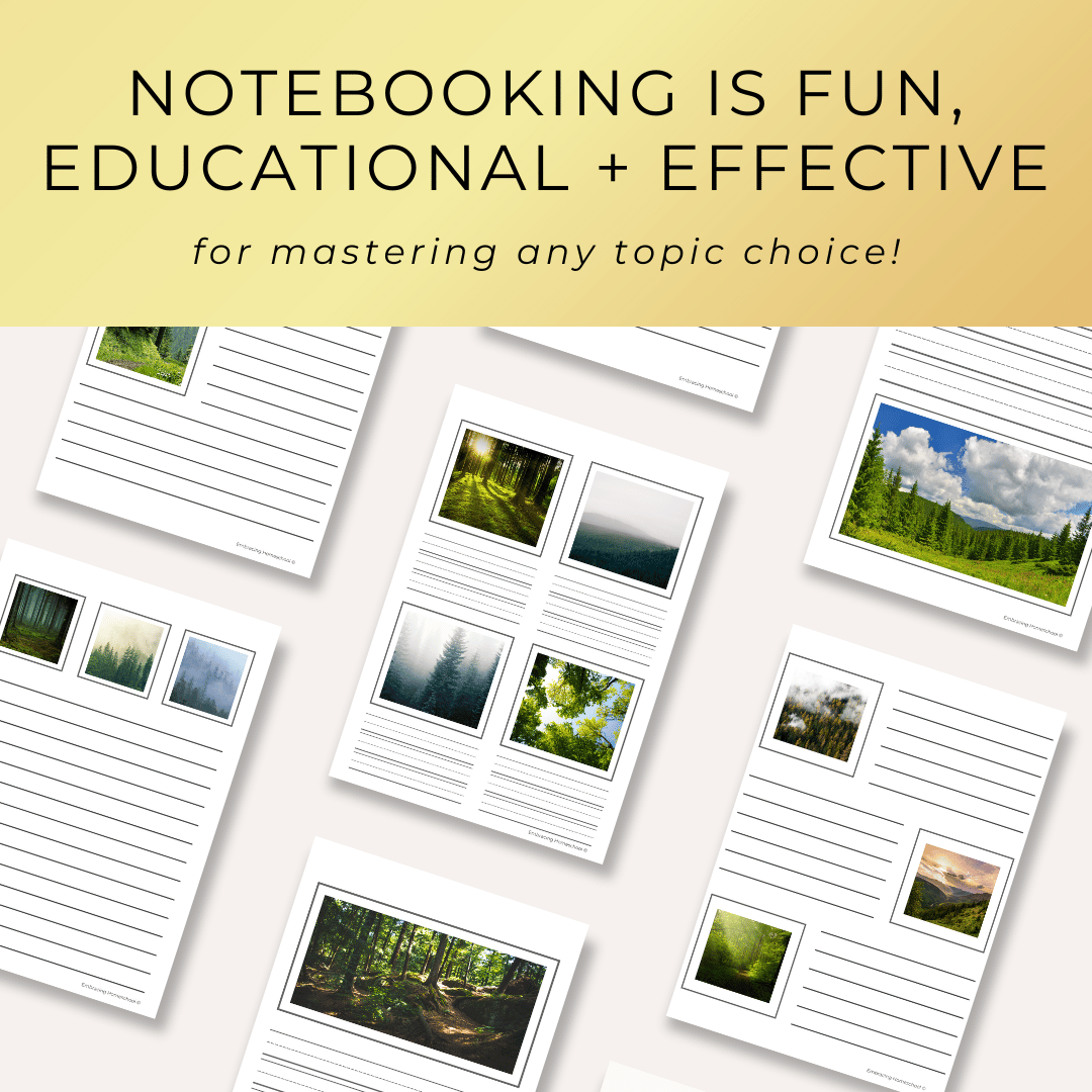 Forest Notebooking Pages printable from Embracing Homeschool Shop