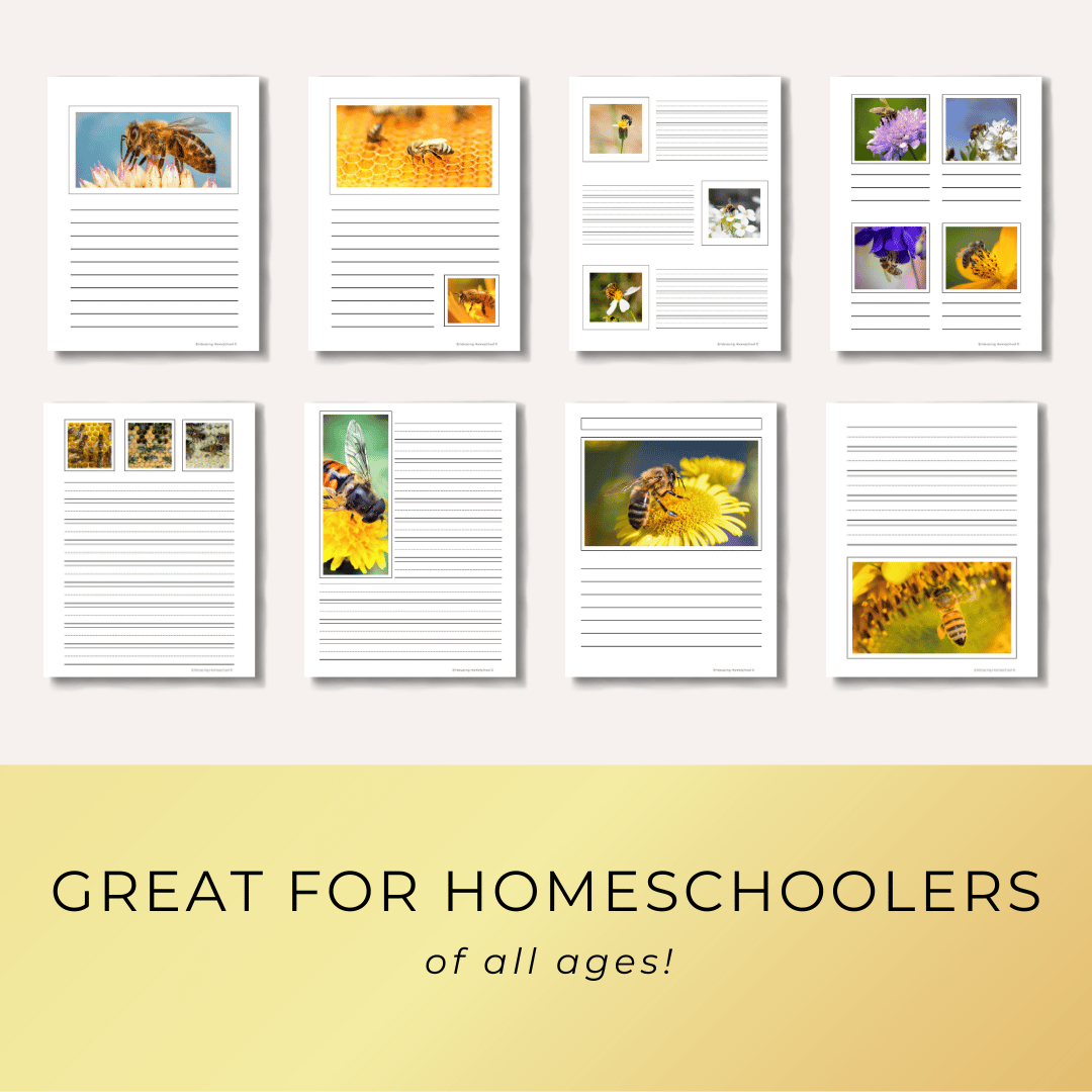 Honeybees Notebooking Pages printables for homeschoolers from Embracing Homeschool Shop