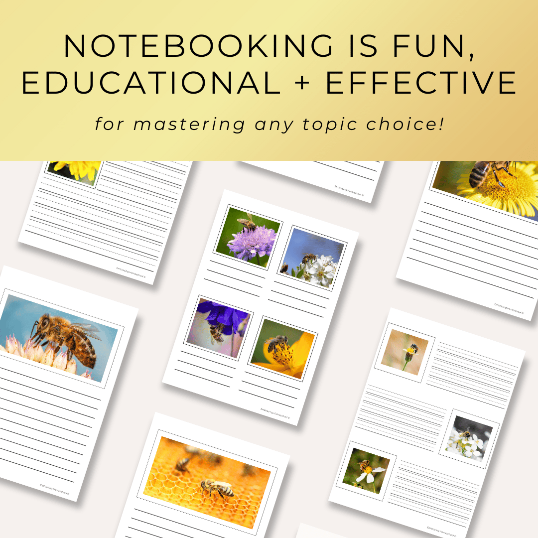 Honeybees Notebooking Pages printables for homeschoolers from Embracing Homeschool Shop
