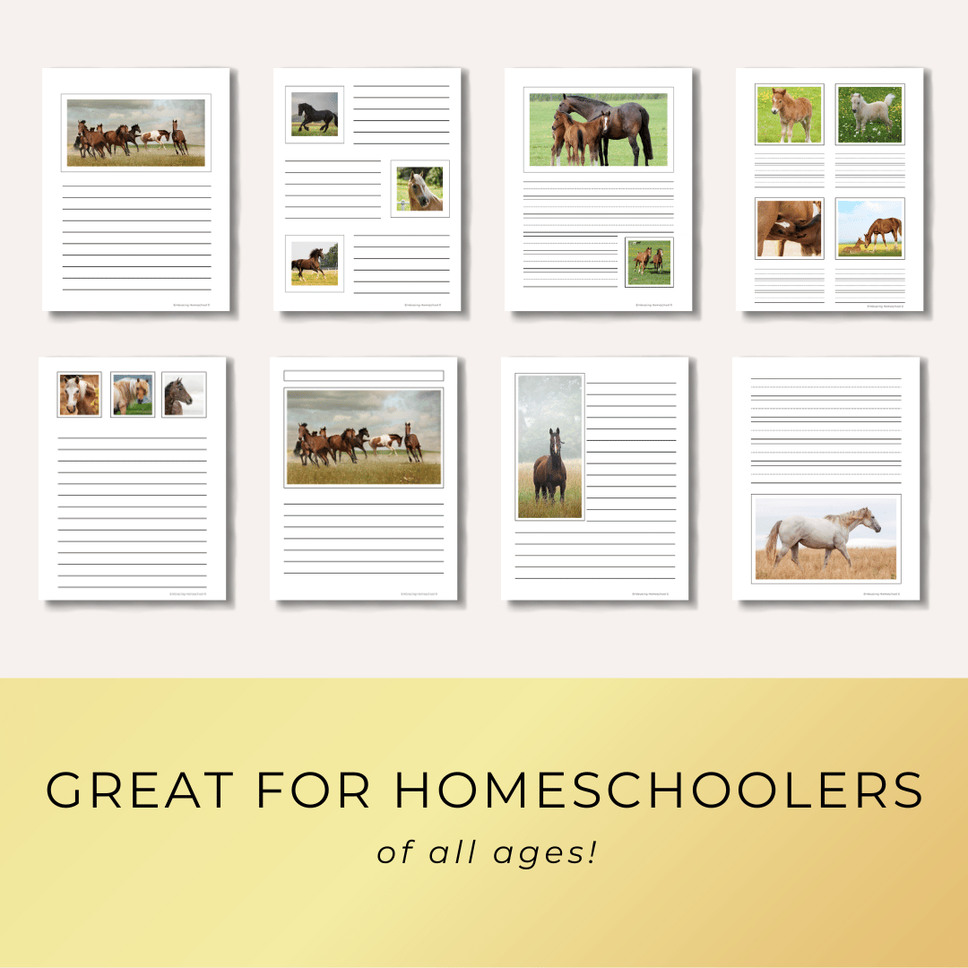 Horses Notebooking Pages Printables for homeschoolers by Embracing Homeschool Shop