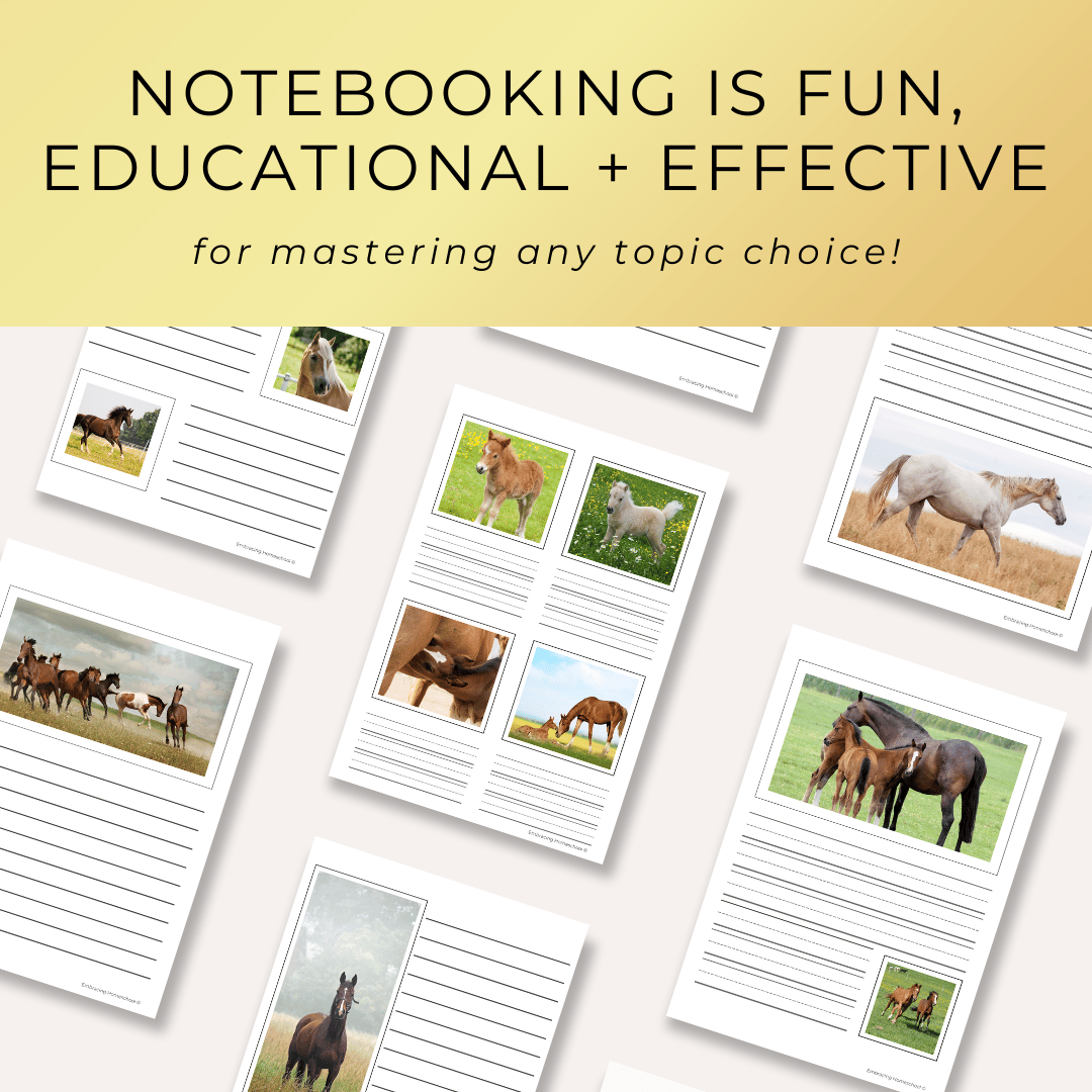 Horses Notebooking Pages Printables for homeschoolers by Embracing Homeschool Shop
