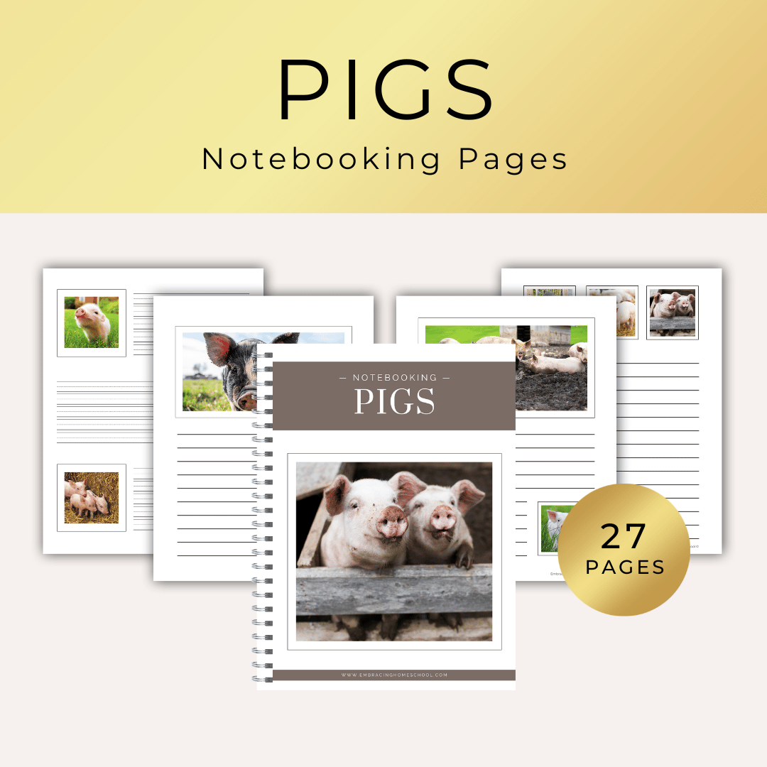 Pigs Notebooking Pages Printables for homeschoolers by Embracing Homeschool Shop