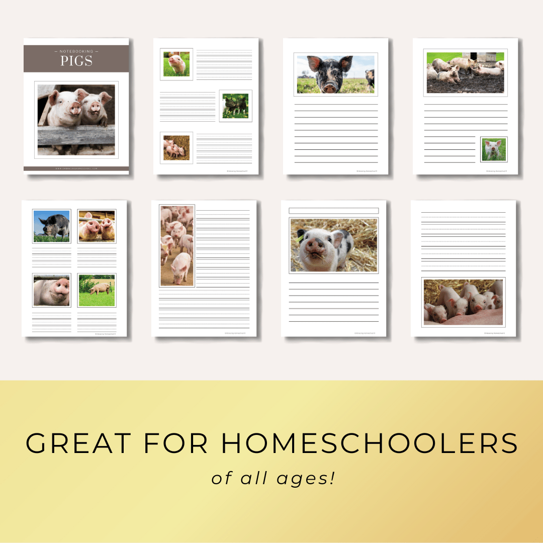 Pigs Notebooking Pages Printables for homeschoolers by Embracing Homeschool Shop
