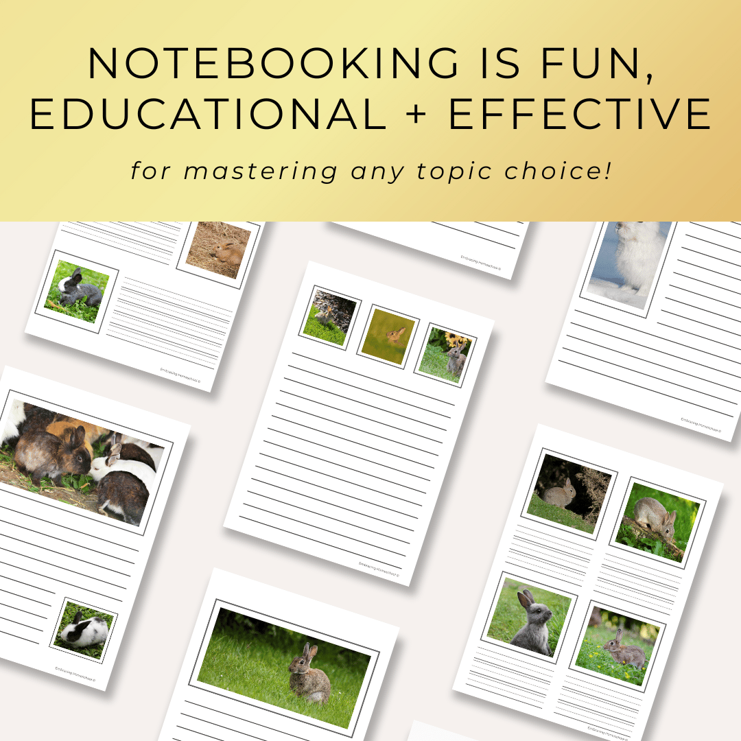Rabbit notebooking pages printables for homeschoolers from Embracing Homeschool Shop