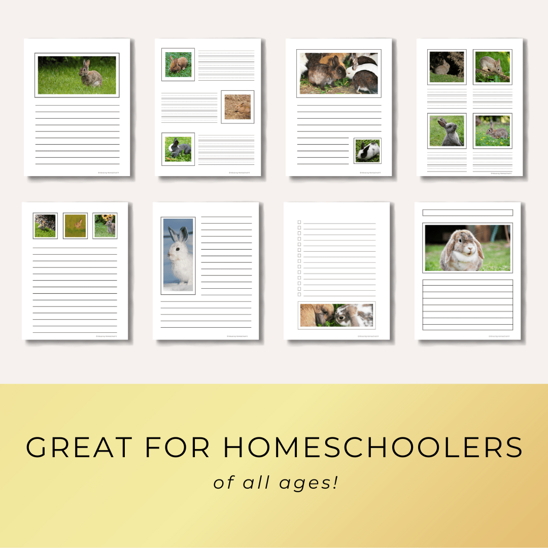 Rabbit notebooking pages printables for homeschoolers from Embracing Homeschool Shop
