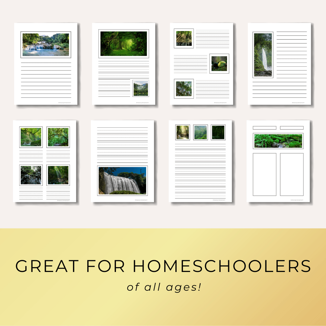 Rainforest Notebooking Pages printables from Embracing Homeschool Shop