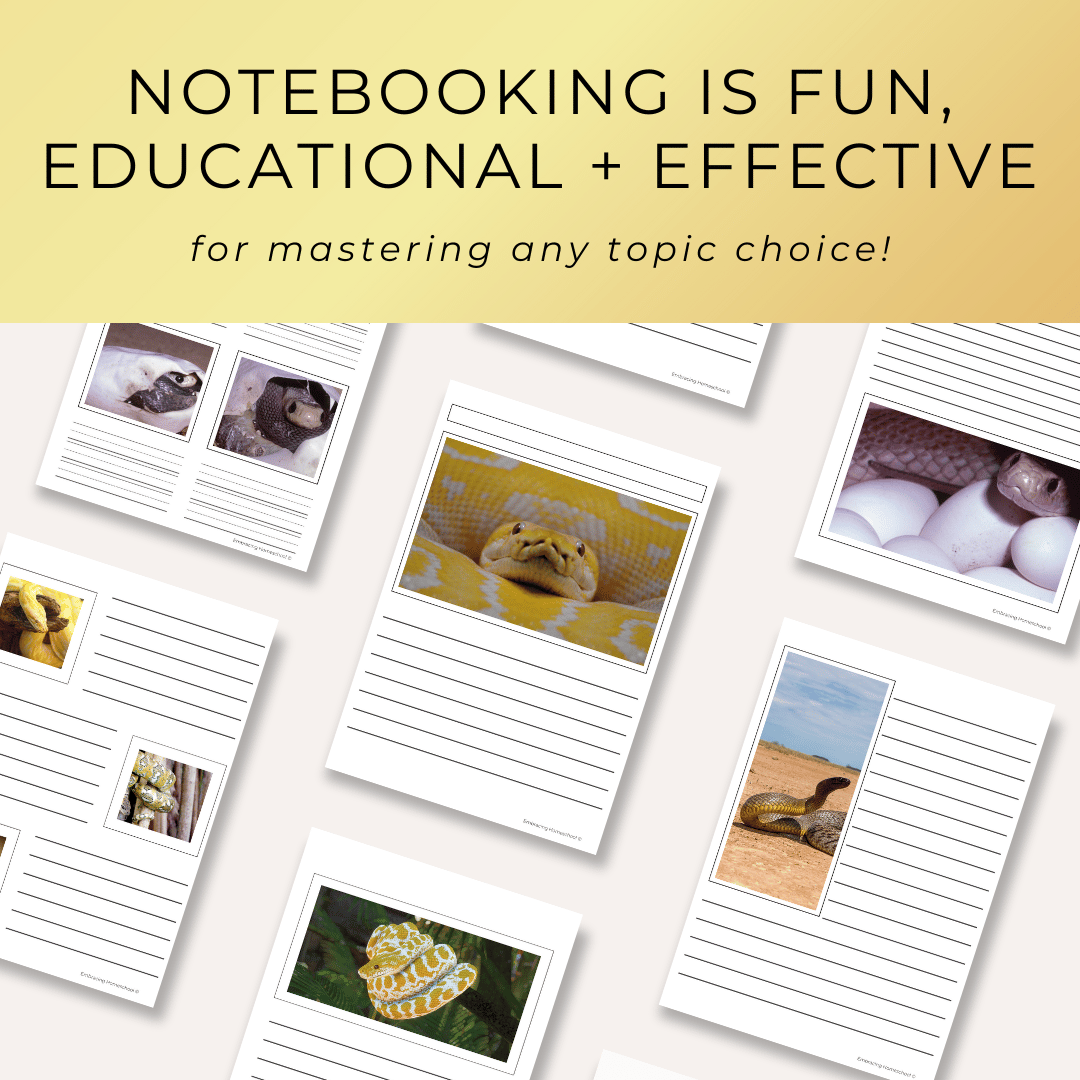 Snakes Notebooking Pages Printables for homeschoolers by Embracing Homeschool Shop
