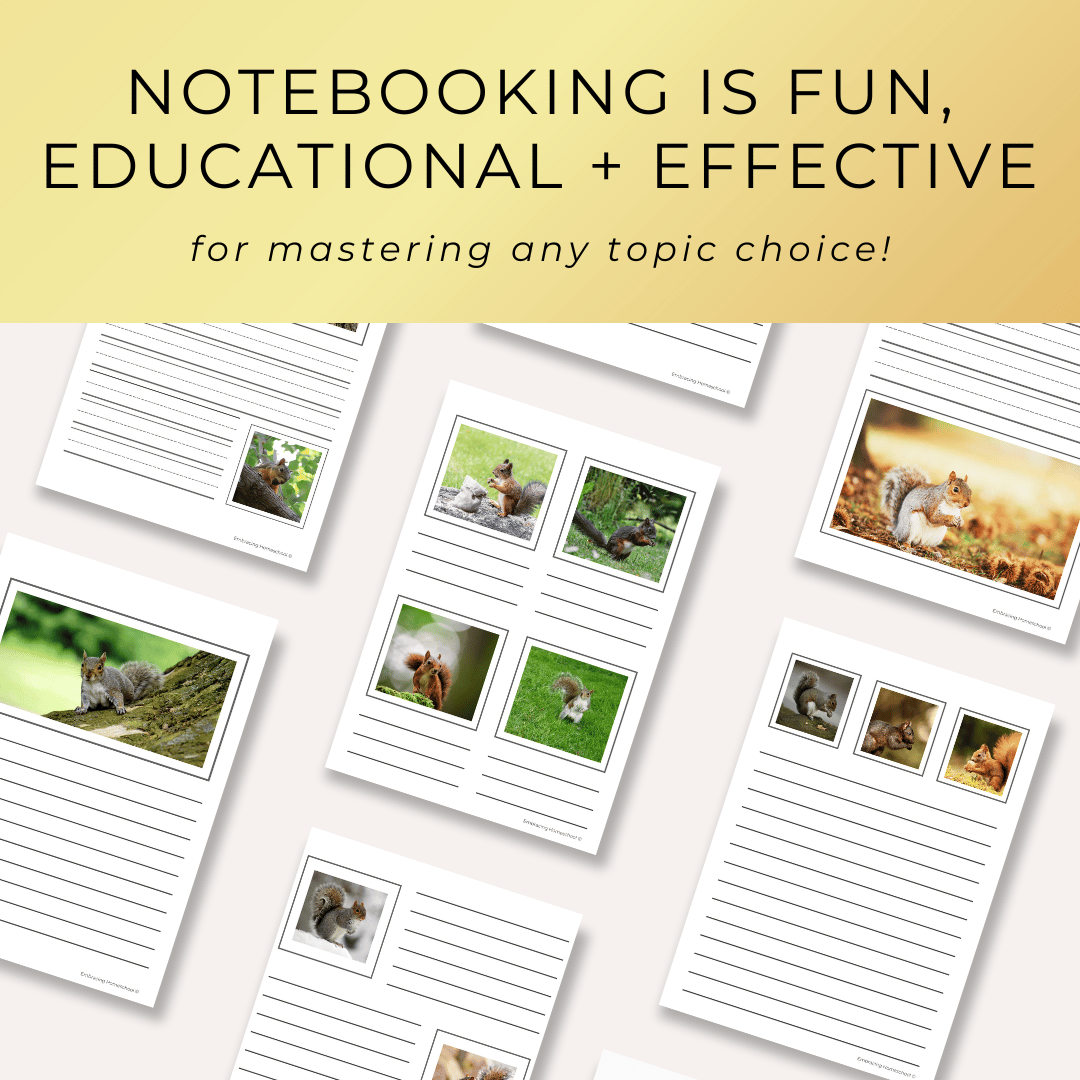Squirrels notebooking pages printables for homeschoolers from Embracing Homeschool Shop