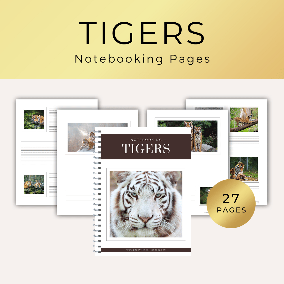 Tiger Notebooking Pages Printables  for homeschoolers by Embracing Homeschool Shop