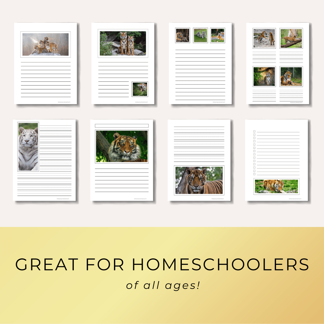 Tiger Notebooking Pages Printables for homeschoolers by Embracing Homeschool Shop