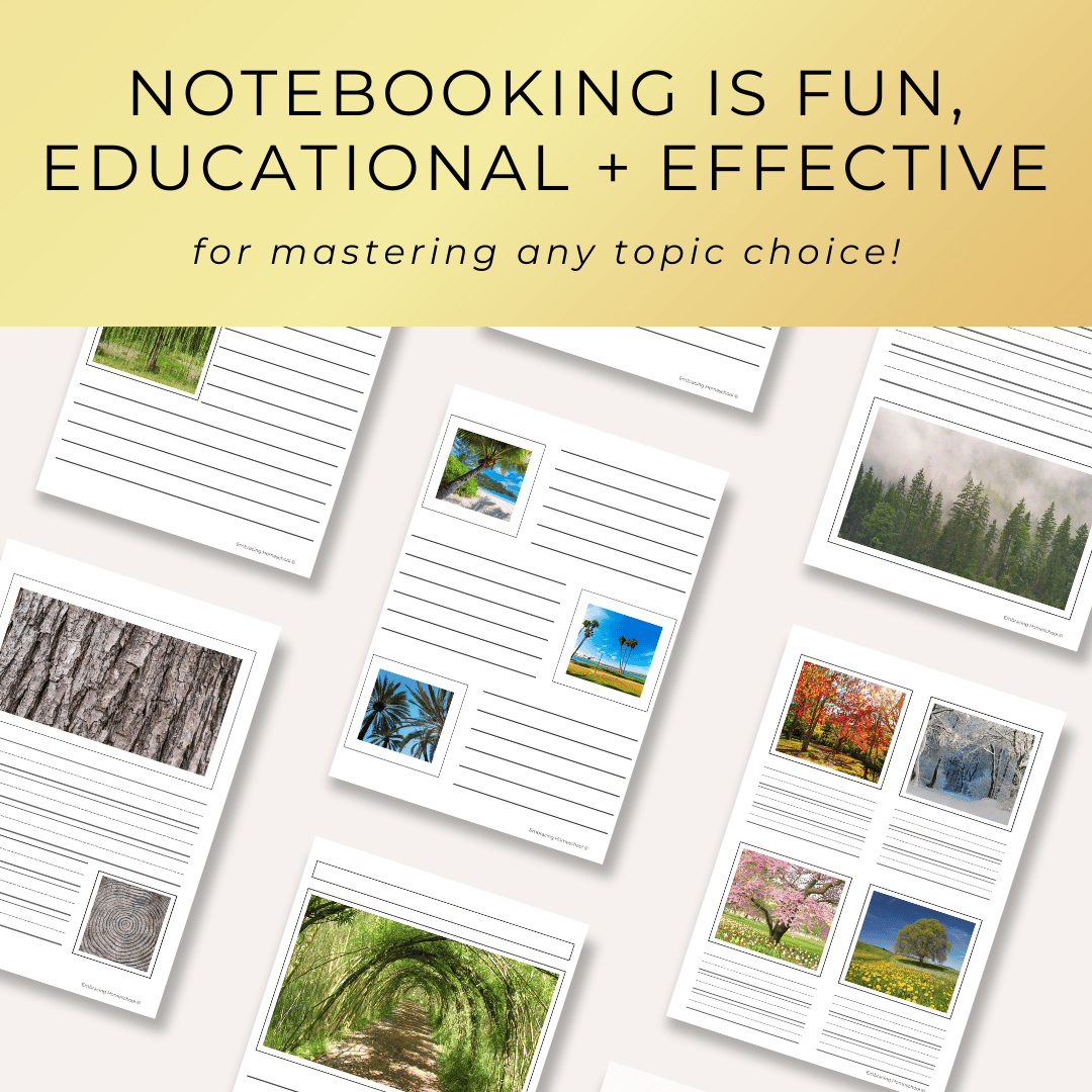 Trees Notebooking Pages Printables from Embracing Homeschool Shop
