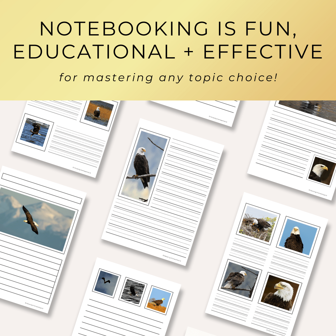 Bald Eagles notebooking pages printables for homeschoolers by Embracing Homeschool Shop