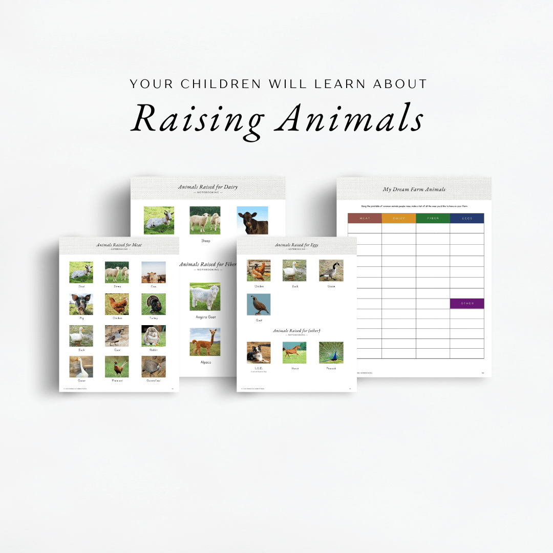 The Simplified Feast: Homesteading Unit Study. A Charlotte Mason and Eclectic family-style curriculum for grades K-8. Your children will learn about raising animals.