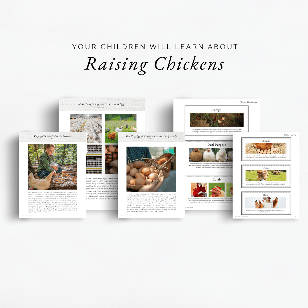 The Simplified Feast: Homesteading Unit Study. A Charlotte Mason and Eclectic family-style curriculum for grades K-8. Your children will learn about raising chickens
