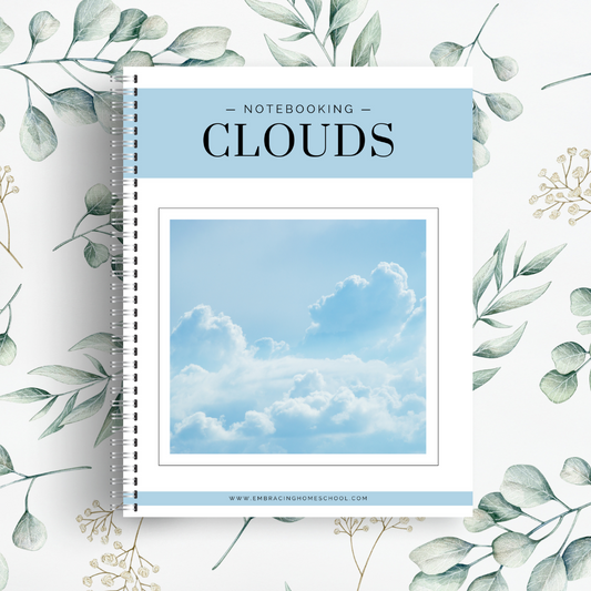 Clouds Notebooking Pages