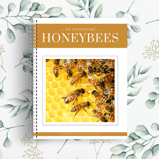 Honeybees Notebooking Pages