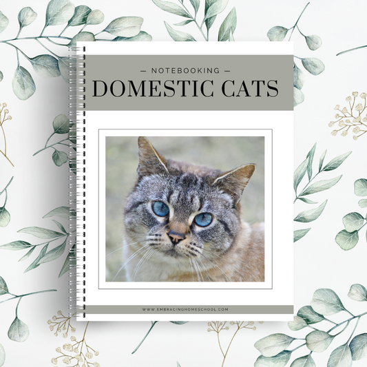 Domestic Cats Notebooking Pages