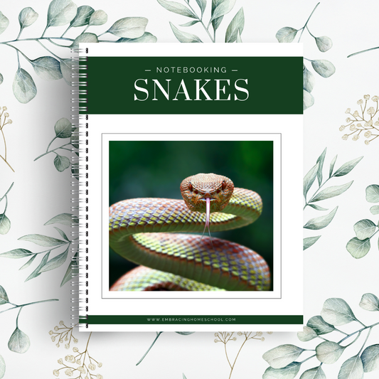 Snakes Notebooking Pages