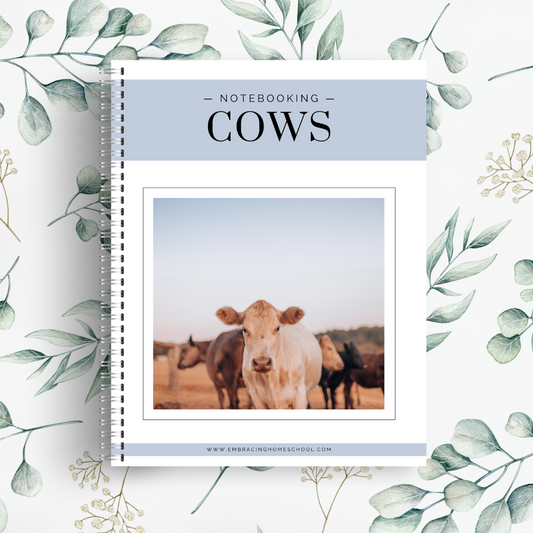 Cow Notebooking Pages