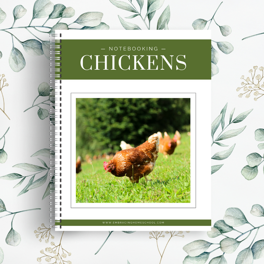 Chickens Notebooking Pages