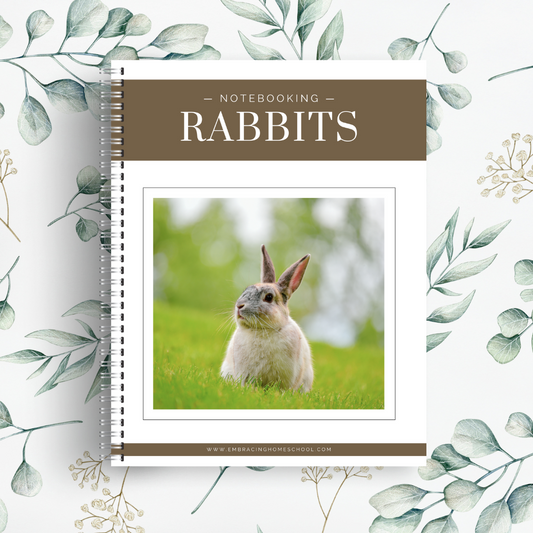 Rabbits Notebooking Pages