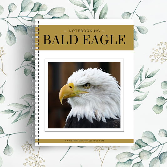 Bald Eagle Notebooking Pages