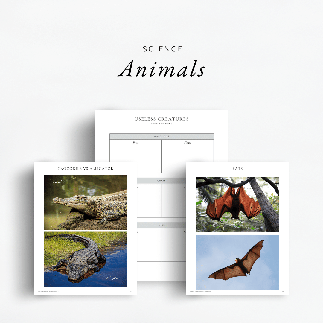 The Simplified Feast Volume 1. An eclectic, Charlotte Mason inspired, family-style curriculum. For science, children will learn all about animals.