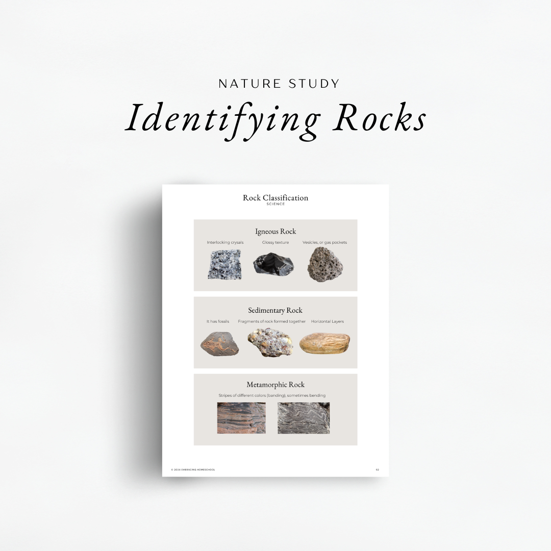 Nature Study Identifying Rocks inside The Simplified Feast: Modern Era (Volume 7)