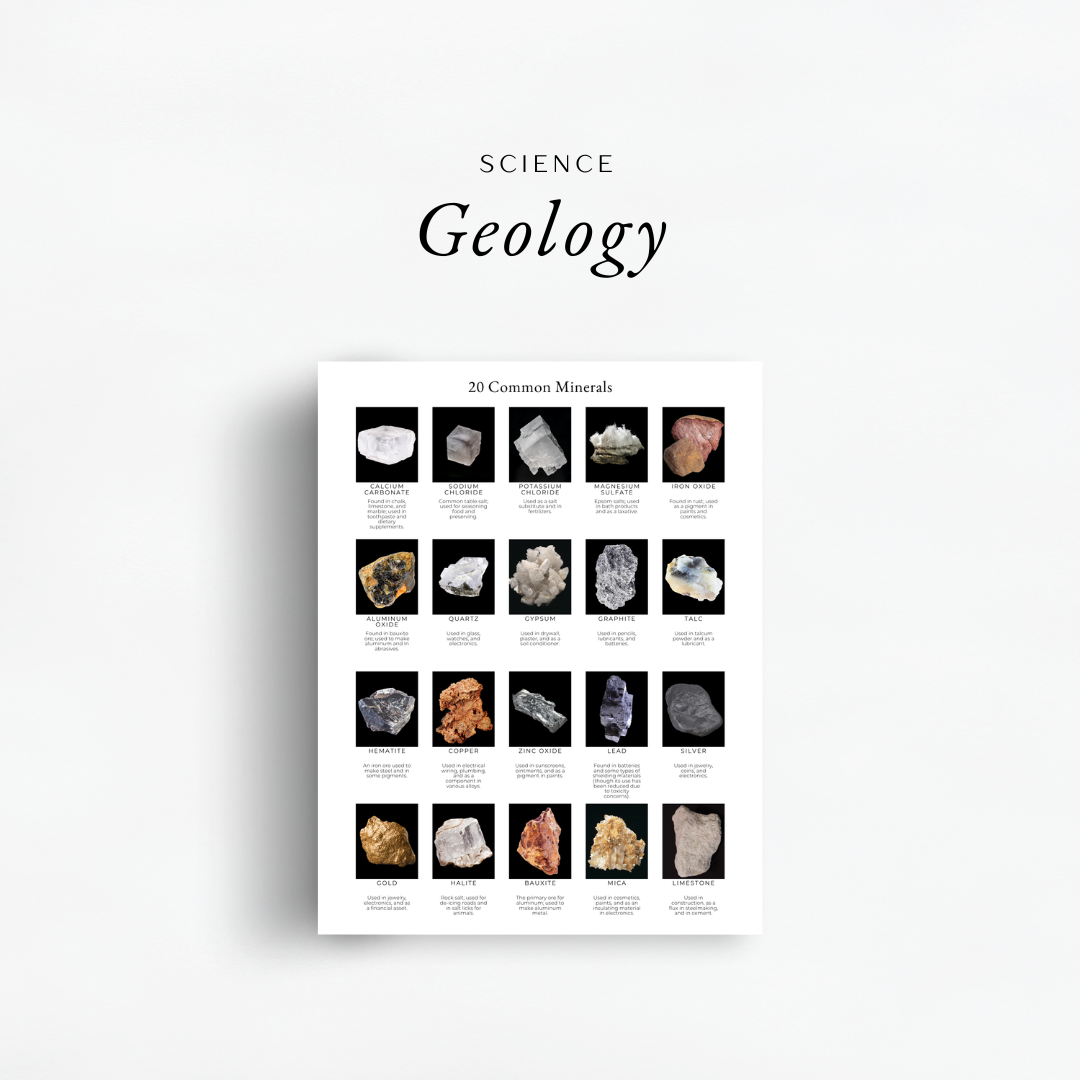 Science geology inside The Simplified Feast: Modern Era (Volume 7)