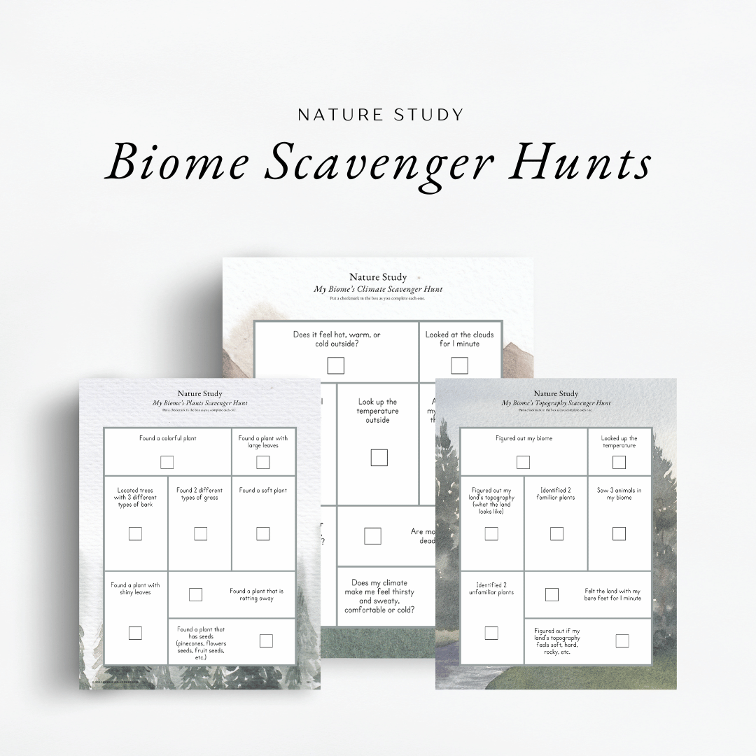 The Simplified Feast Volume 3 nature study will be doing fun biome scavenger hunts