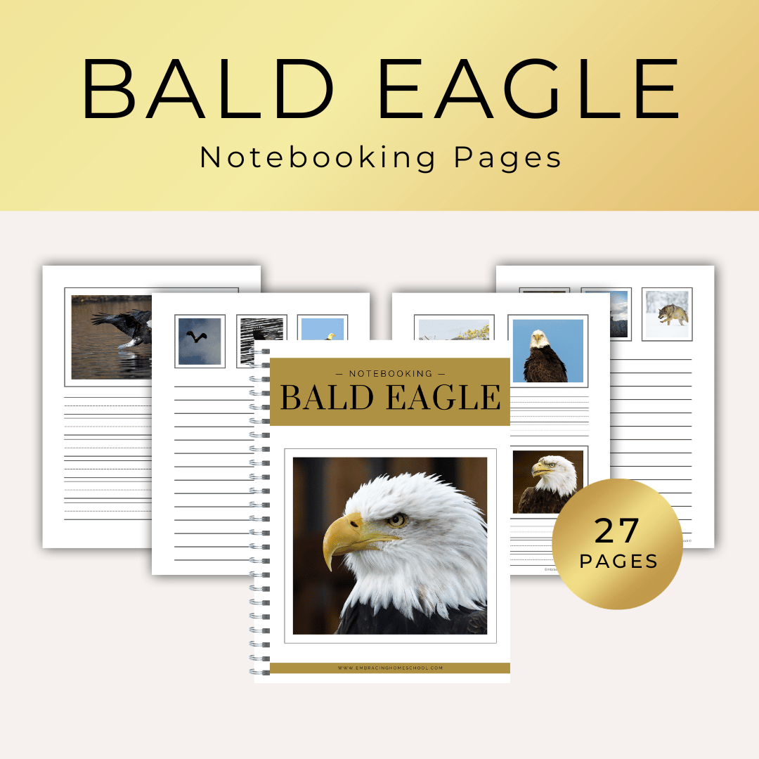 Bald Eagles notebooking pages printables for homeschoolers by Embracing Homeschool Shop