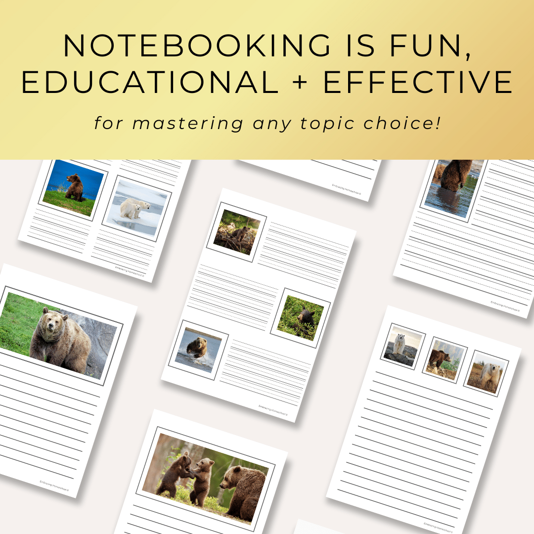 Bears notebooking pages printables for homeschoolers by Embracing Homeschool Shop