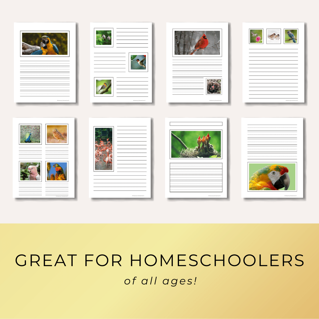 Birds notebooking pages printables for homeschoolers from Embracing Homeschool Shop
