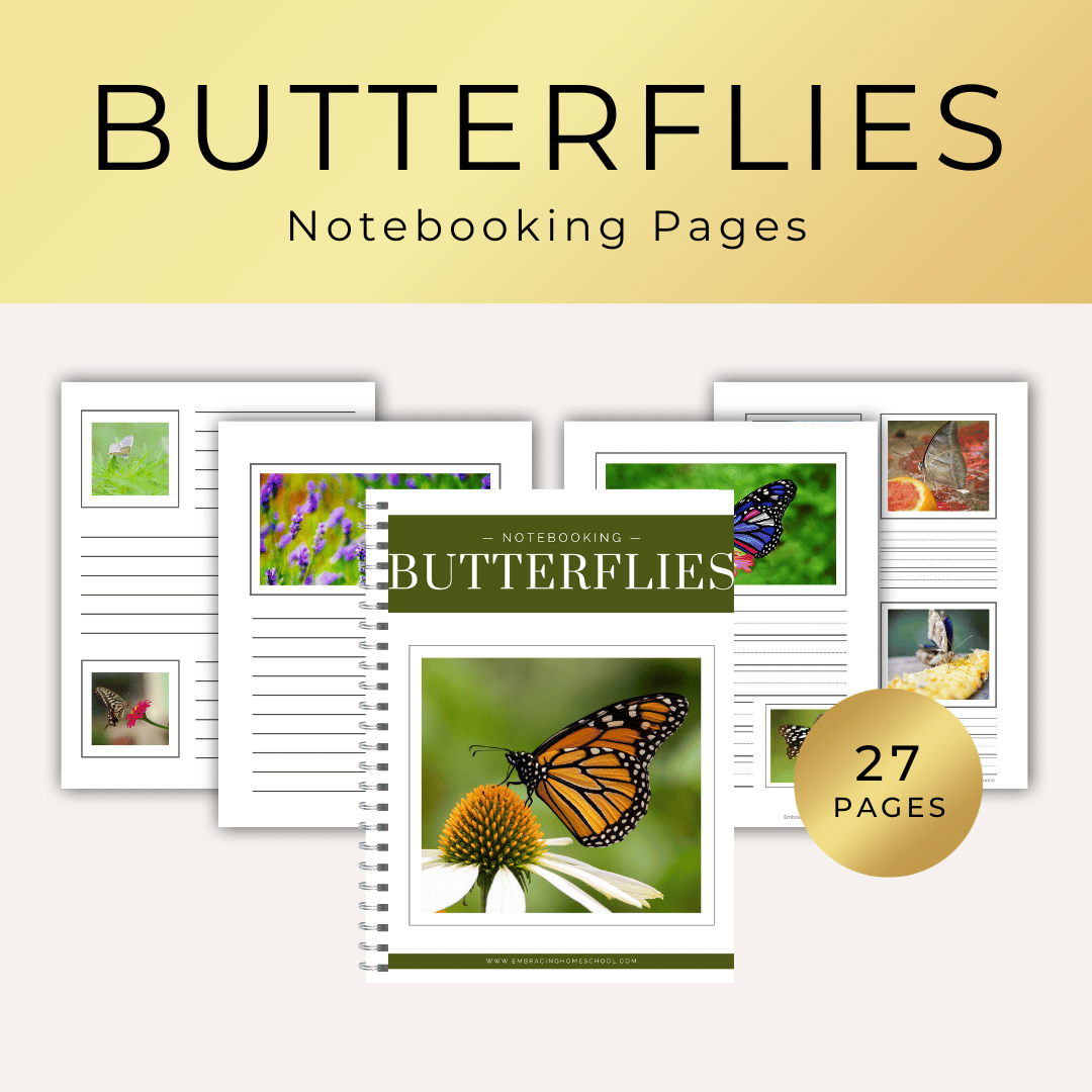 Butterflies notebooking pages printables for Homeschoolers by Embracing Homeschool shop